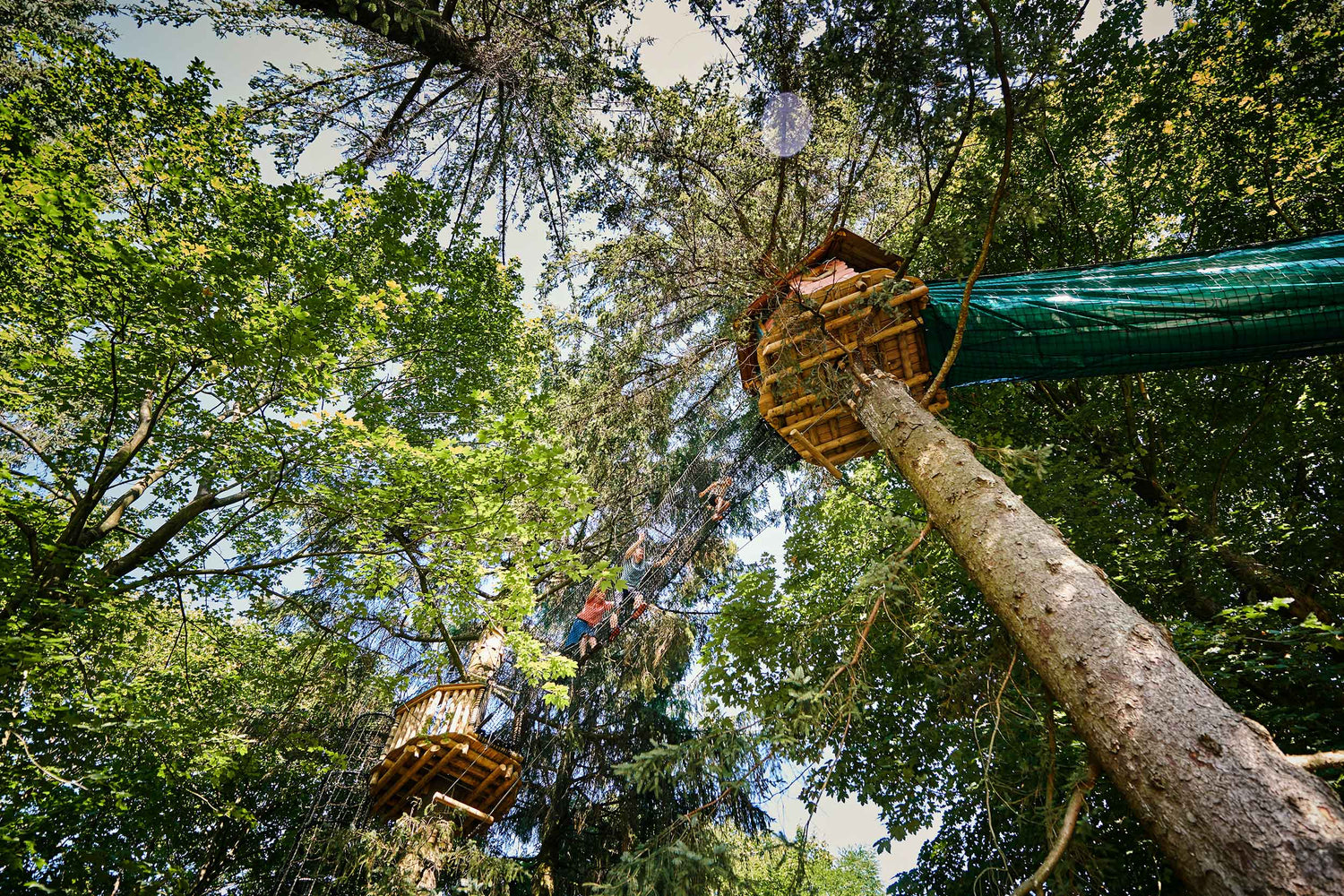 Et højt træ med en trætophytte i WOW PARK, som man ser nedefra