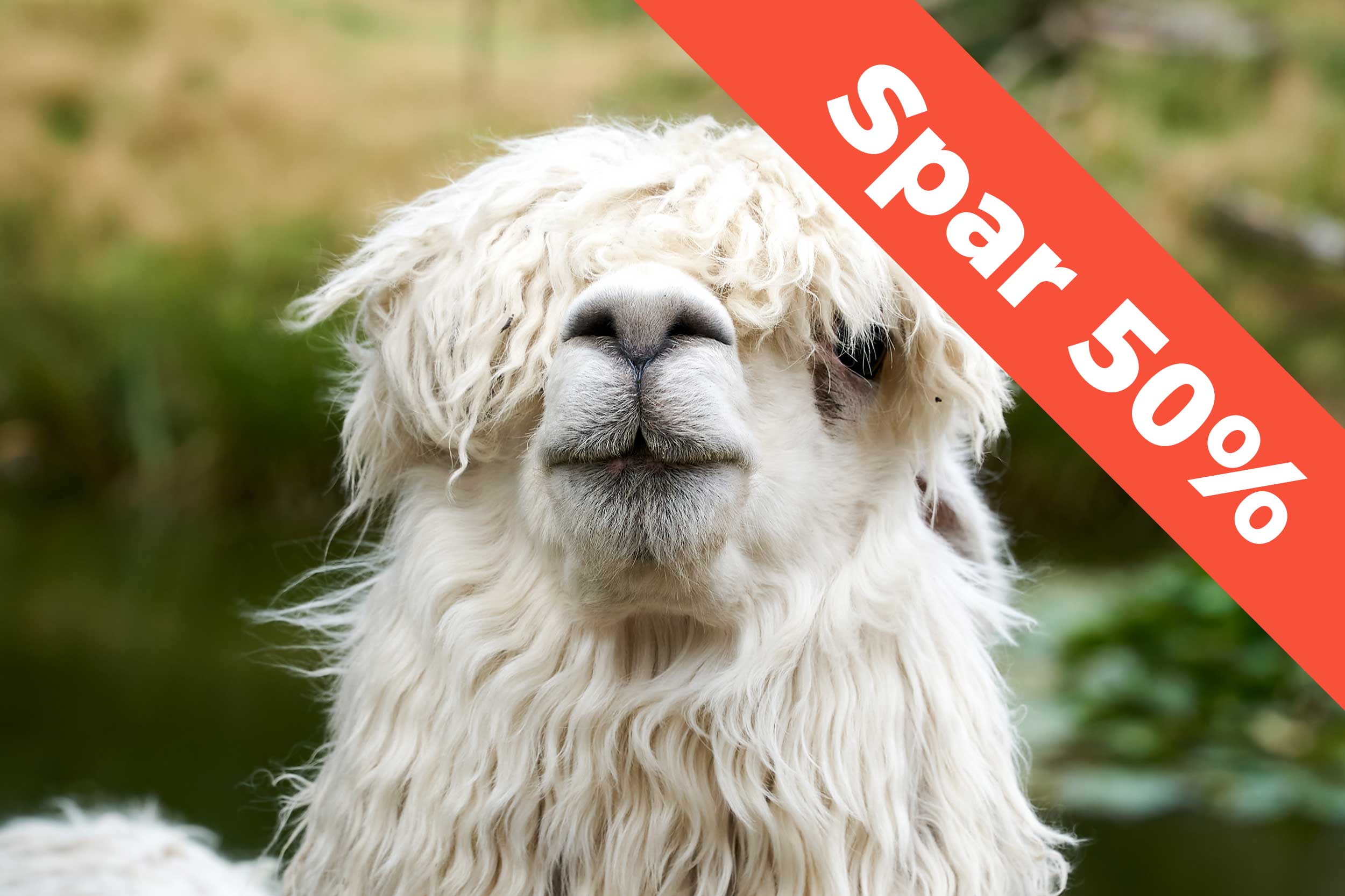 Et dyr i Glad Zoo.