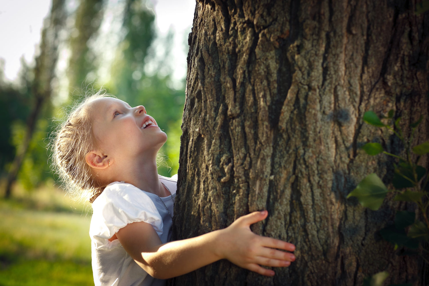 A girl is hugging a tree.