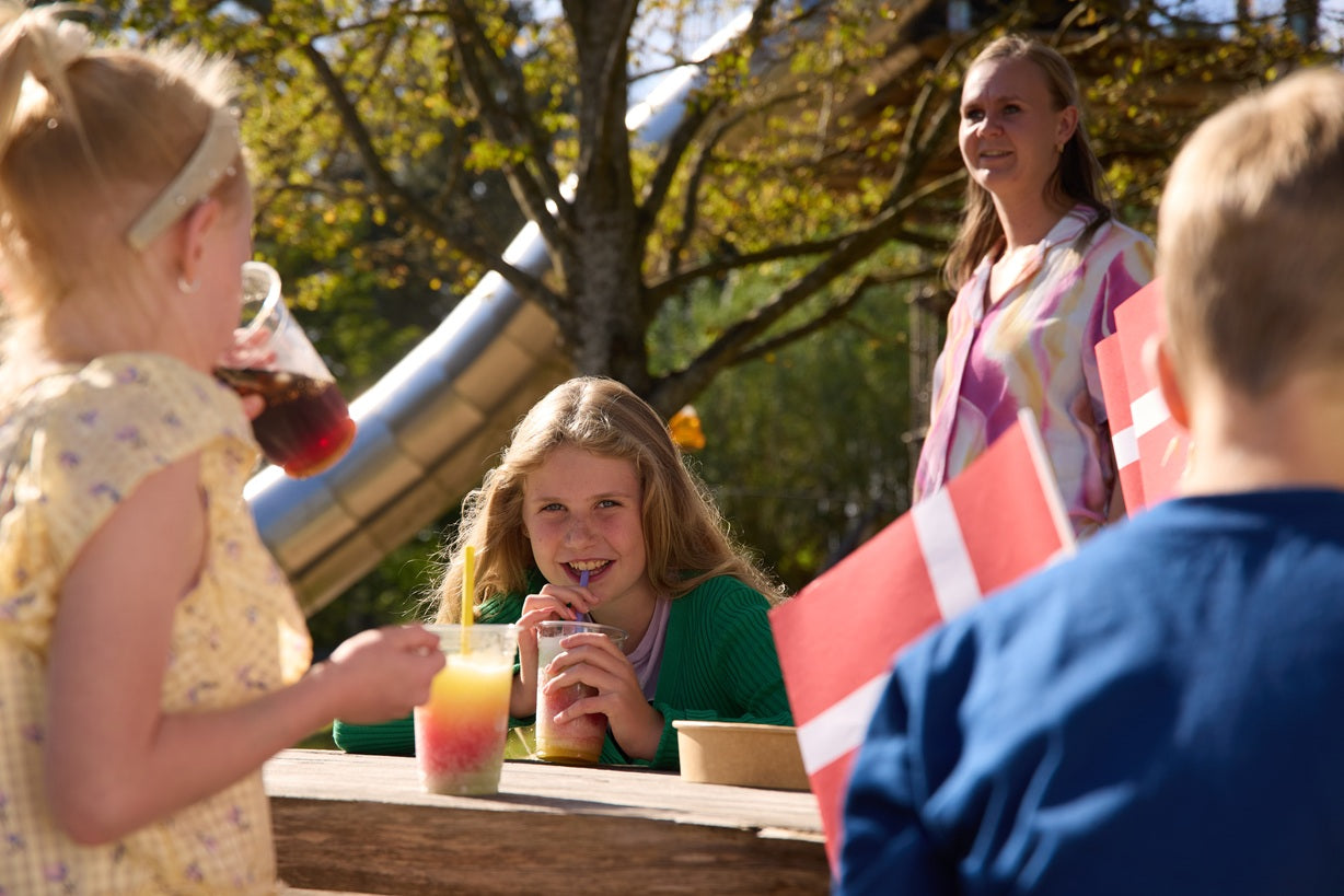 Children and an adult in WOW PARK outdoors, celebrating a birthday party. There are flags on the table.