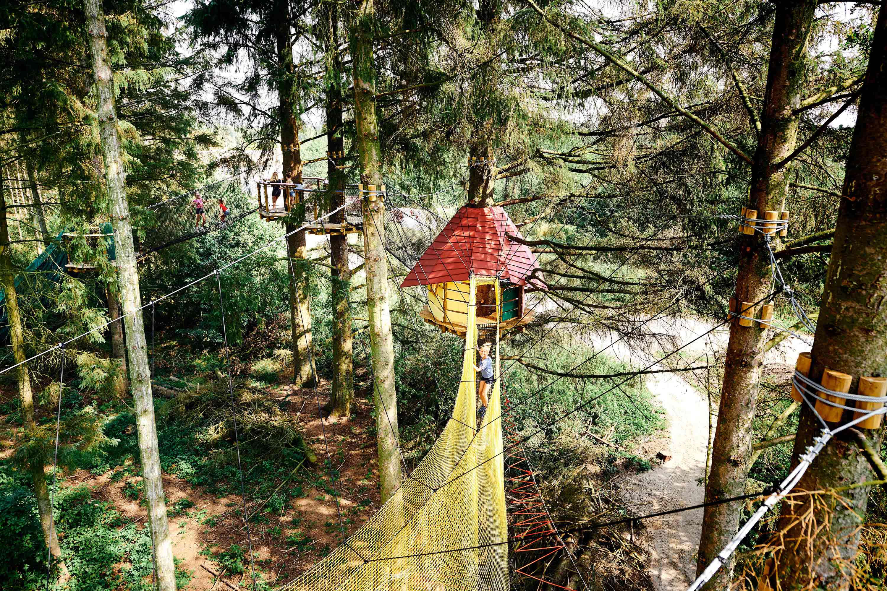 One sees some tall trees from above. One can see a girl who is on her way across a net between two trees.