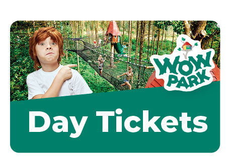 You can see a boy pointing towards the attractions in WOW PARK. On a graphic, it says 'Day Tickets' with text.