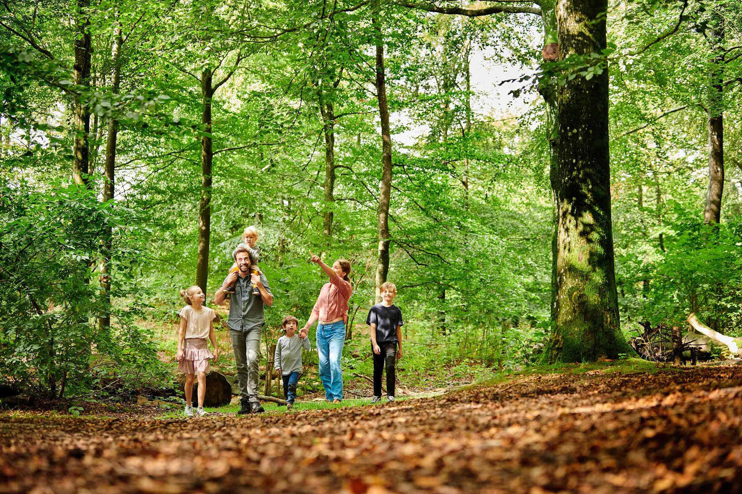 Grøn skov i WOW PARK hvor en hel familie går og kigger på forlystelserne