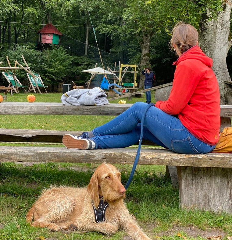 En gæst sidder på en bænk i WOW PARK. En hund ligger ved siden af i græsset.