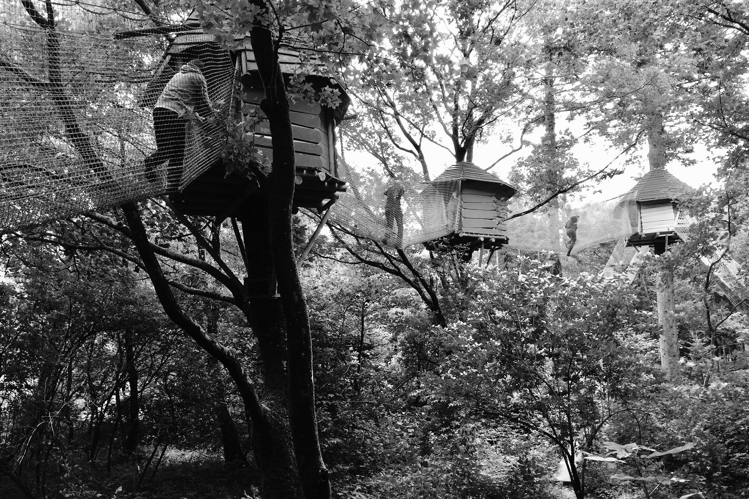 Gäste im Park gehen von Baumhaus zu Baumhaus über Netzstege.
