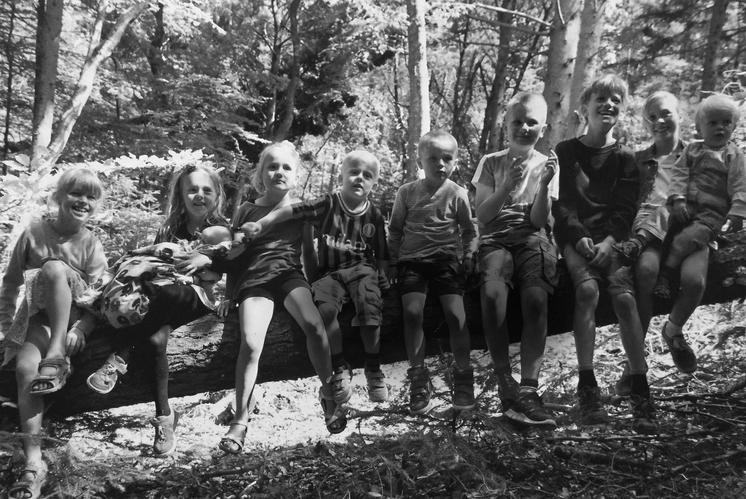 A large group of children are sitting on a tree trunk in WOW PARK