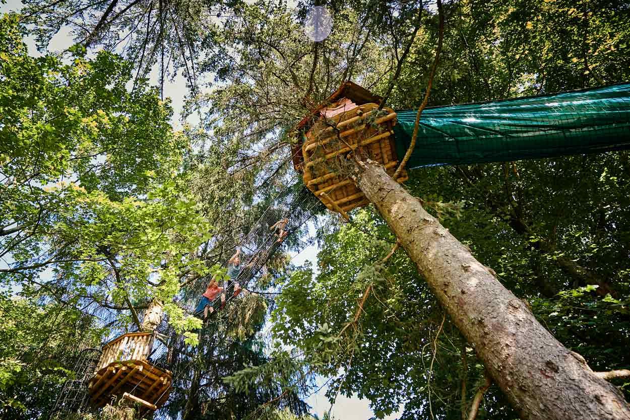 You see a treetop hut in the forest from below.