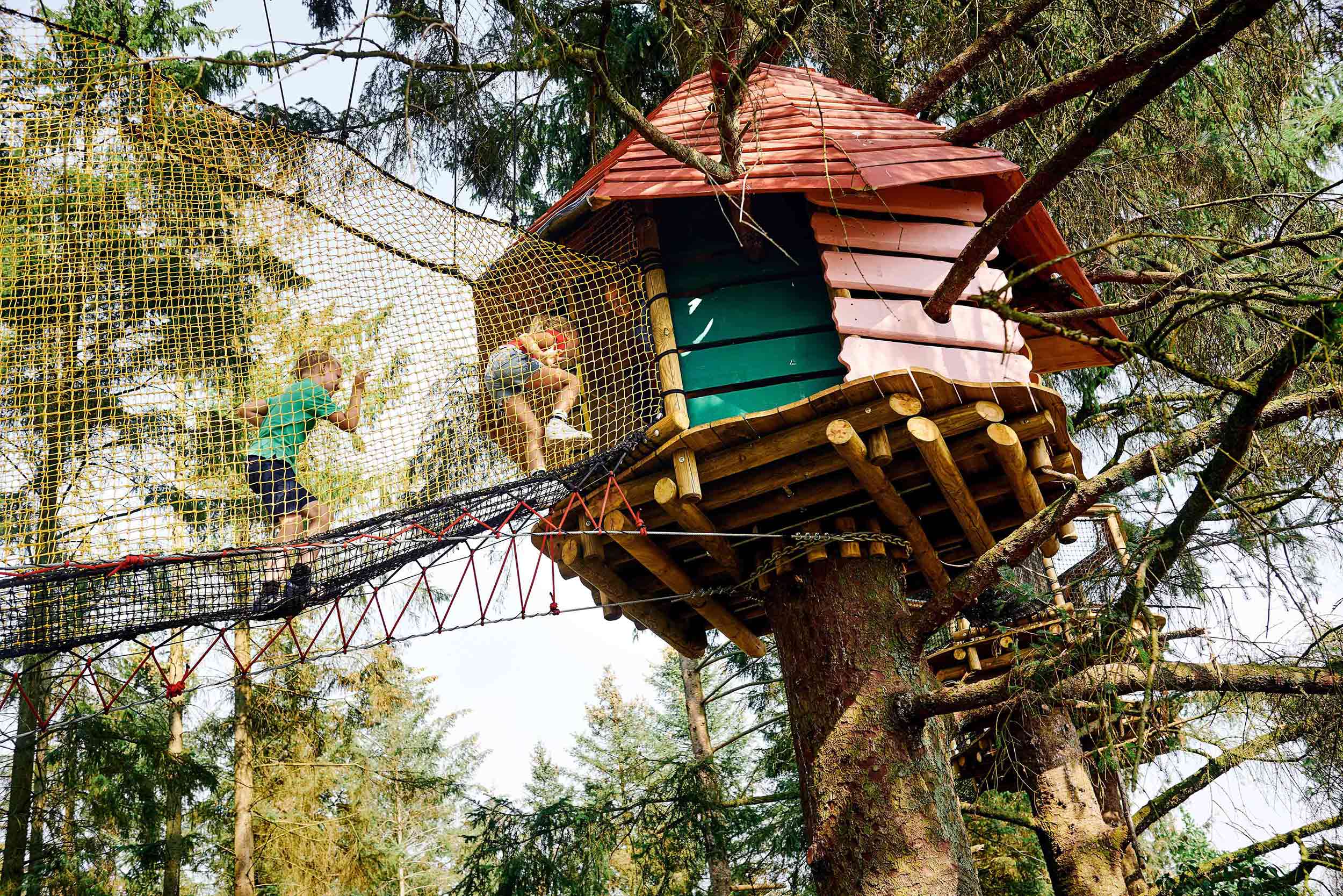 Children are on their way up to a treehouse. They are walking in a net high up.