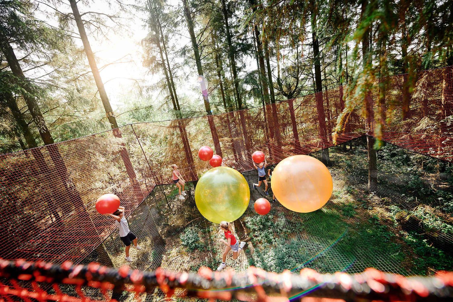 Children are playing with balls in a net while the sun is shining.