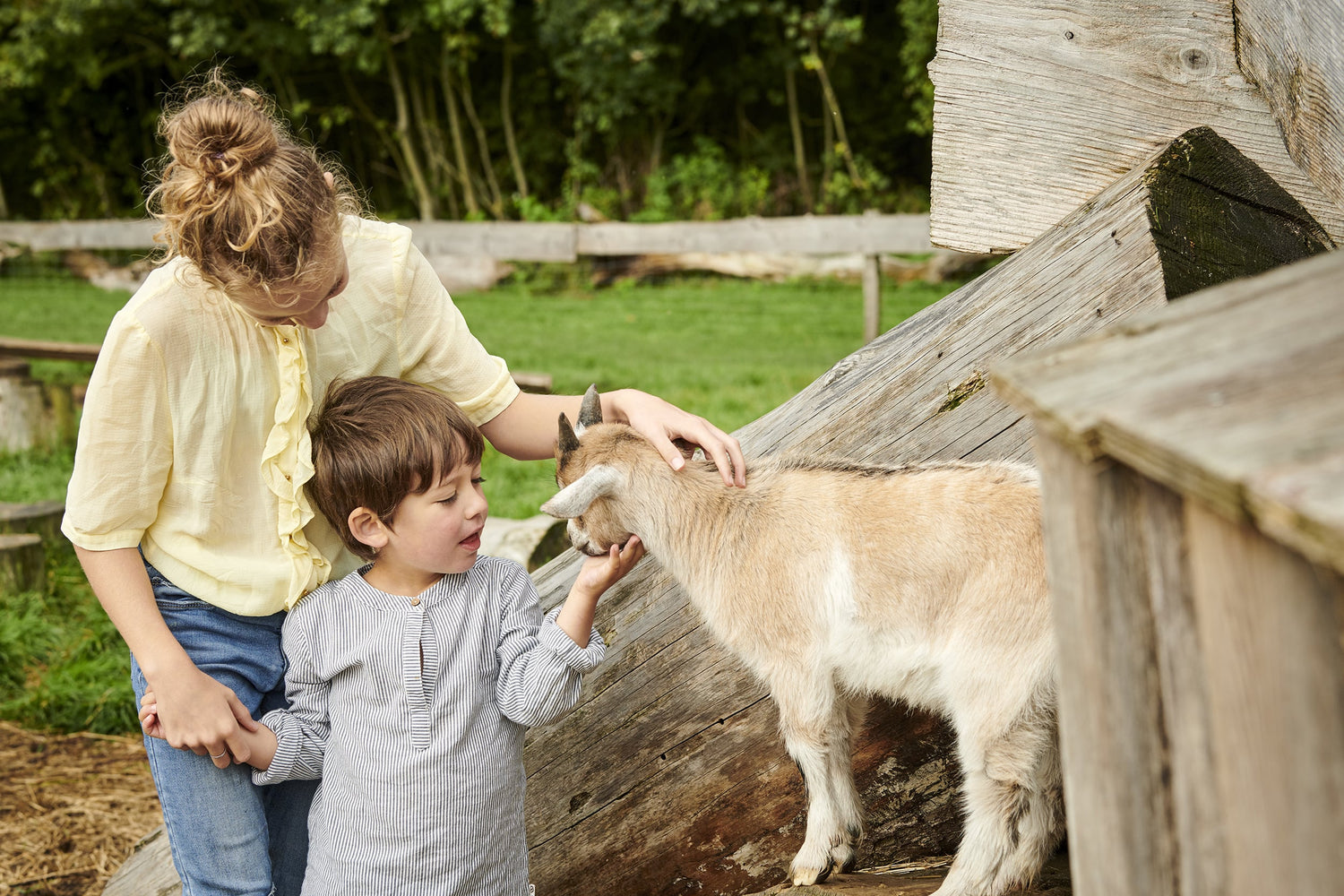 Mother and son meet a friendly goat in WOW PARK.
