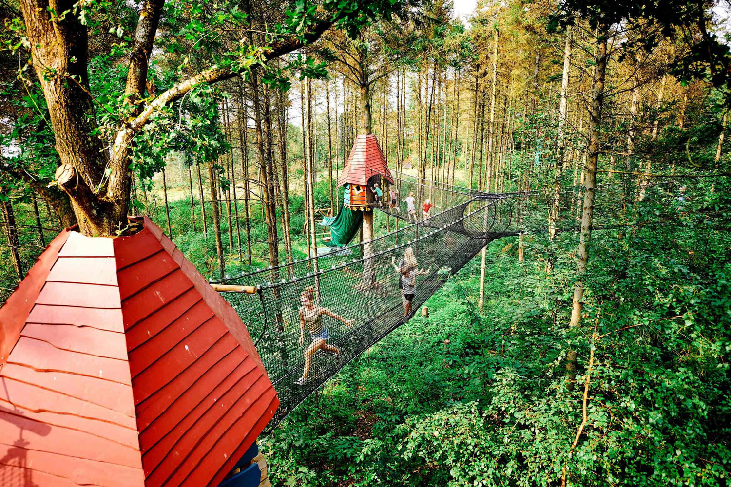 Flere børn går højt oppe i træerne i net fra det ene træ til det andet. Man ser også trætophytter og rutsjebane ned fra en hytte.
