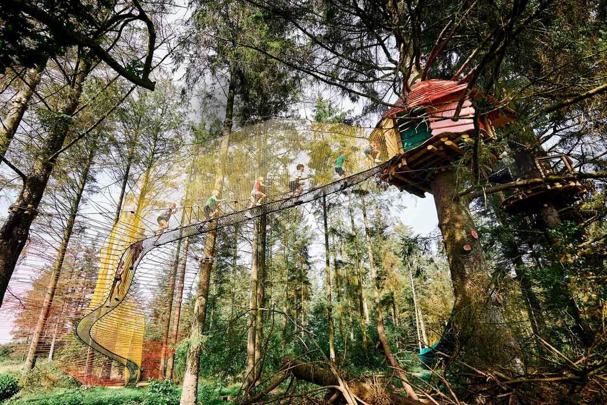 A larger group of children is heading up towards a treetop hut. They are walking one after another in a net of multiple colors.