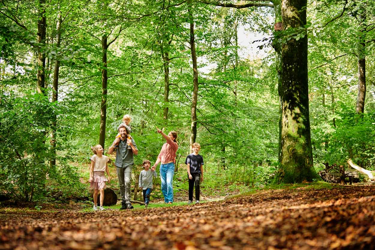 Eine Familie macht einen Spaziergang und genießt die Zeit im WOW PARK, umgeben von vielen grünen Blättern an den Bäumen