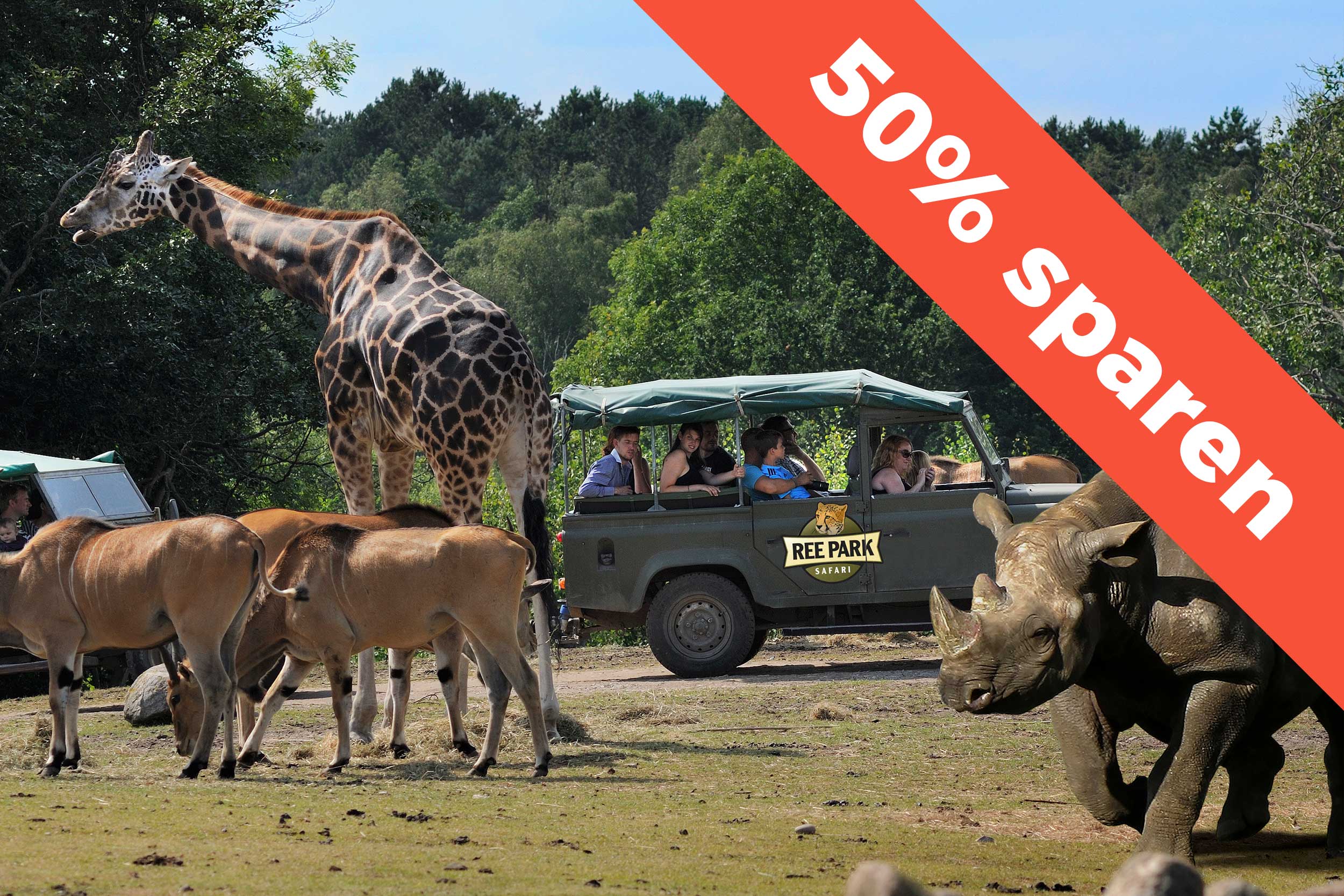 Verschiedene Tiere im REE PARK, z. B. ein Nashorn und eine Giraffe. Einige Gäste fahren mit einem Jeep herum und beobachten die Tiere.