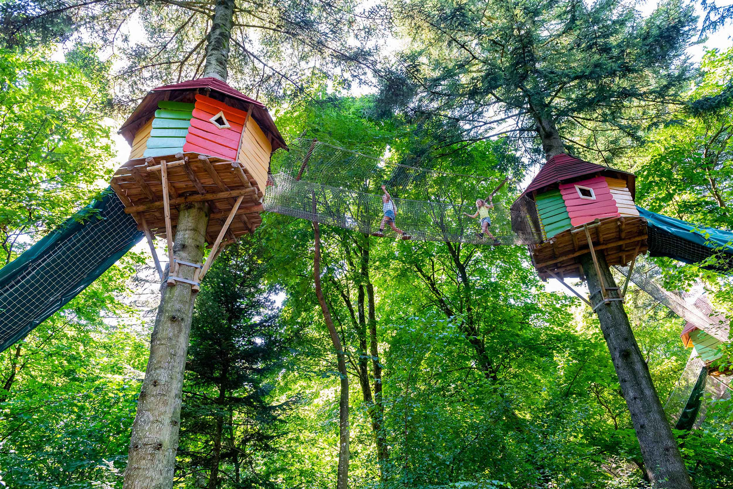 To trætophytter i den grønne skov i WOW PARK Skjern